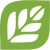 Green Leaf Siyanda